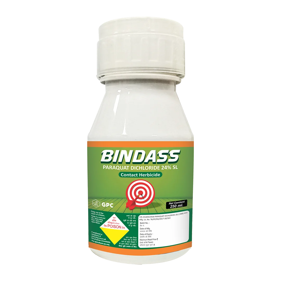 BINDASS 250ML